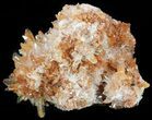 Orange Creedite Crystal Cluster - Durango, Mexico #51655-1